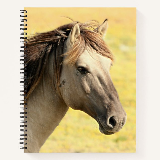 Reitprofil Notizbuch (Vorderseite)