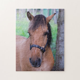 Reitpuzzle Puzzle