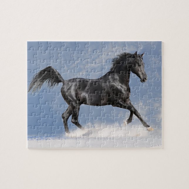 Reitpuzzle Puzzle (Horizontal)