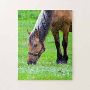 Reitpuzzle Puzzle