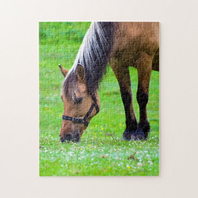 Reitpuzzle Puzzle (Vertikal)