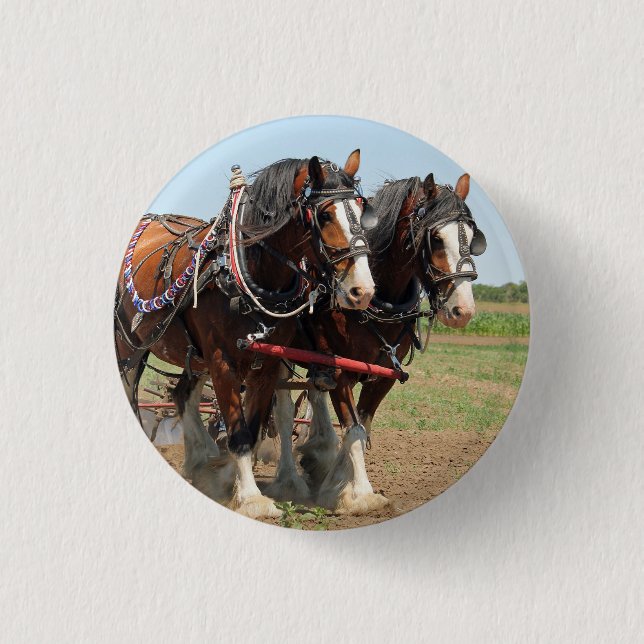Reitsport Clydesdale Foto Button (Vorderseite)