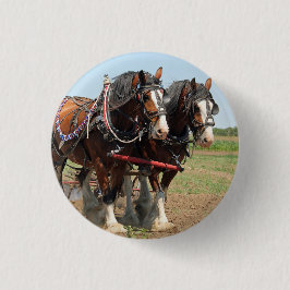 Reitsport Clydesdale Foto Button