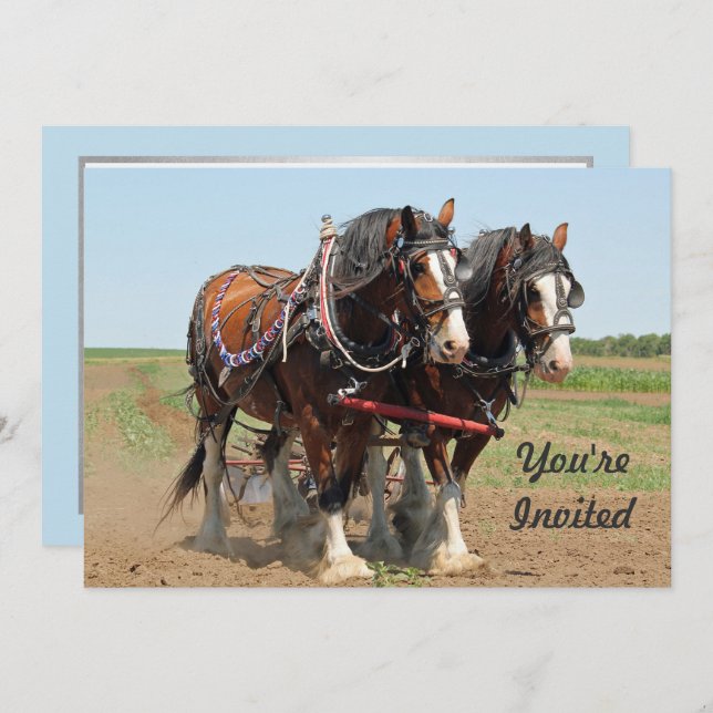 Reitsport Clydesdale Foto Geburtstag Einladung (Vorne/Hinten)