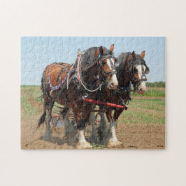 Reitsport Clydesdale Foto Puzzle