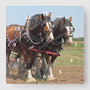 Reitsport Clydesdale Foto Quadratische Wanduhr