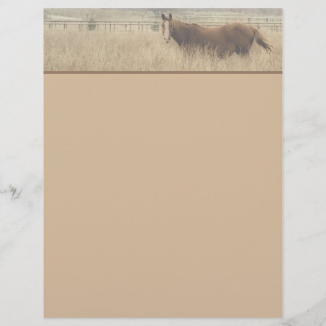 Reittier Letterhead (Vorderseite)