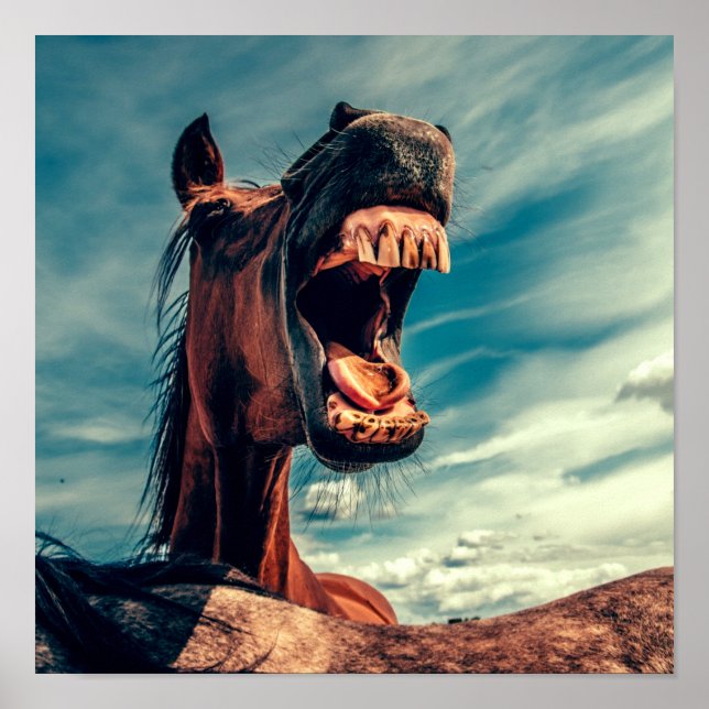 Reittier Poster (Vorne)