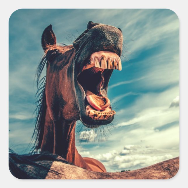 Reittier Quadratischer Aufkleber (Vorderseite)