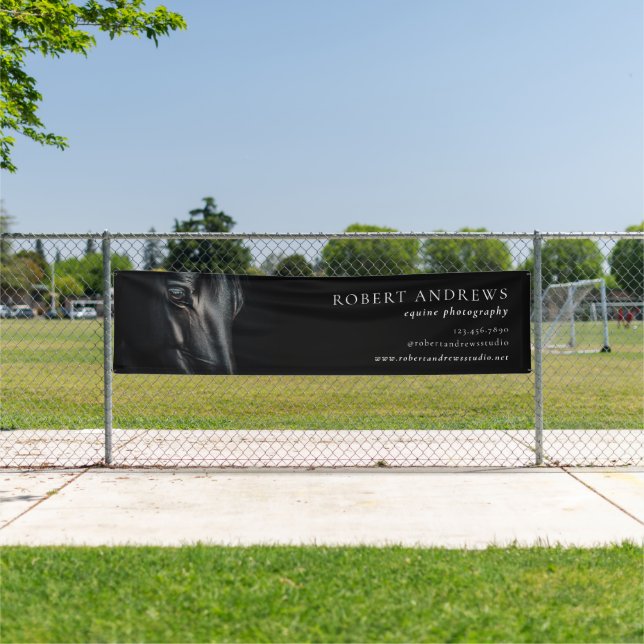Reittiere Banner (InSitu)