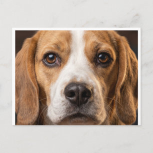 reizend Beagle-Hunde-Postkartenbild Postkarte