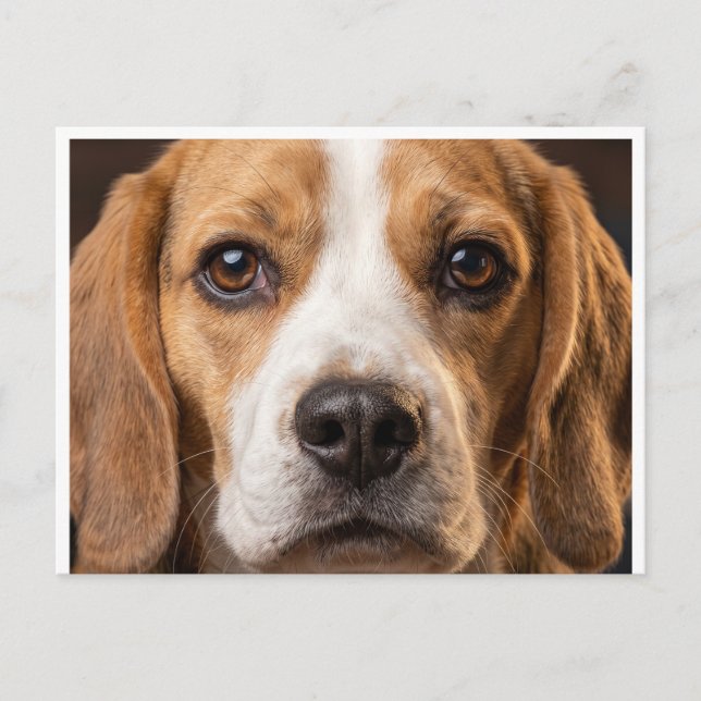 reizend Beagle-Hunde-Postkartenbild Postkarte (Vorderseite)