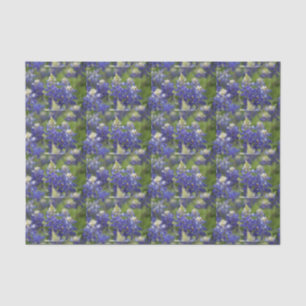 Reizende blaue seidenpapier