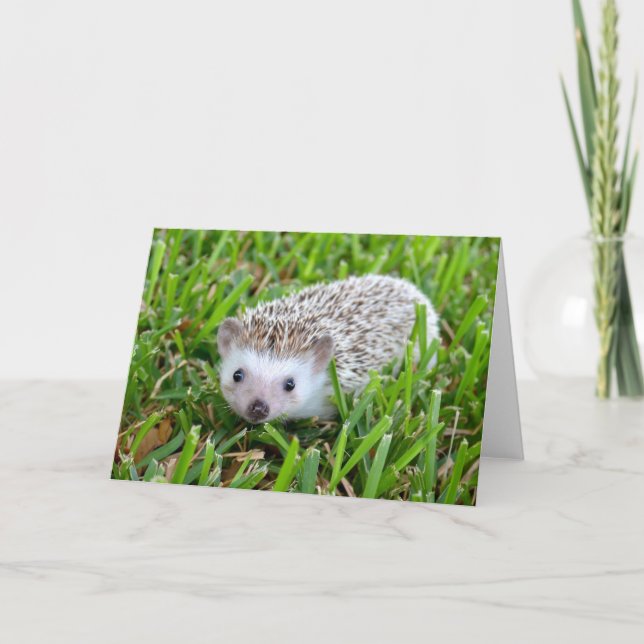 Reizende Hedgehog Blank Card Feiertagskarte (Vorderseite)