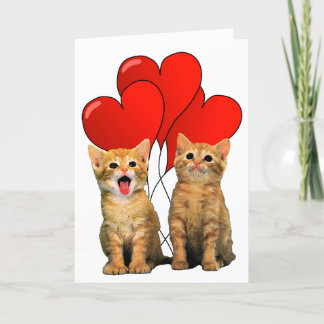 Reizende Katzen Feiertagskarte
