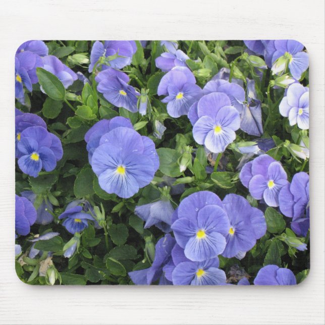 Reizende lila Blumen - mousepad (Vorne)