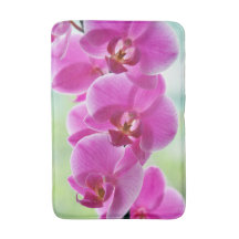 Reizende rosa Orchideen