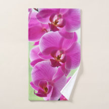 Reizende rosa Orchideen