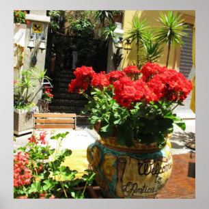 REIZENDE ROTE BLUMEN IM KERAMIK-TOPF-PLAKAT POSTER