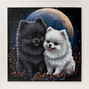 Reizende schwarze und weiße Pomeranian-Welpen Puzzle