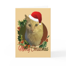 Reizende und einzigartige Katzen-Weihnachtskarte