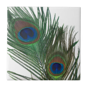 Reizende weiße Pfau-Feder-Fliese Fliese