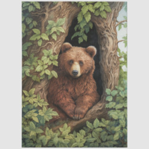 Reizender Bär im Wald Decoupage Seidenpapier