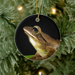 Reizender Frosch auf einem Seerosenblatt, Wasserli Keramik Ornament