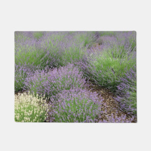 Reizender Lavendel Fußmatte
