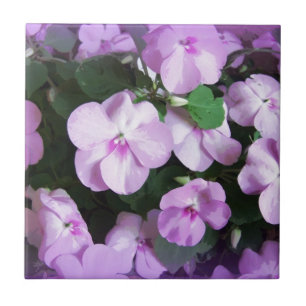 Reizender Lavendel Impatiens Fliese