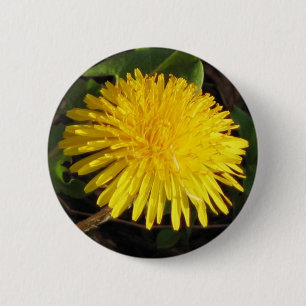 Reizender Löwenzahn Button