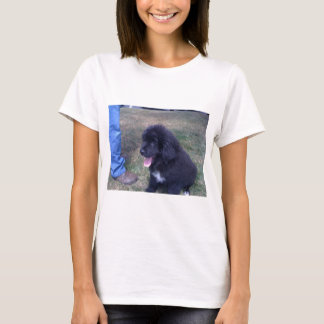 Reizender Newfie Welpe (Neufundland-Hundezucht) T-Shirt