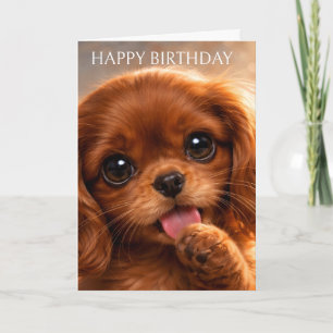 Reizender Ruby Cavalier Spaniel Karte