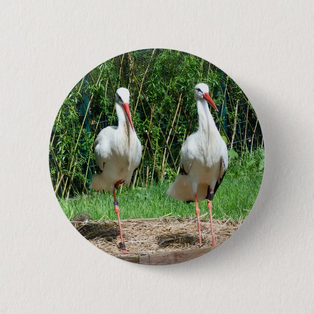 Reizender Storch Button (Vorderseite)