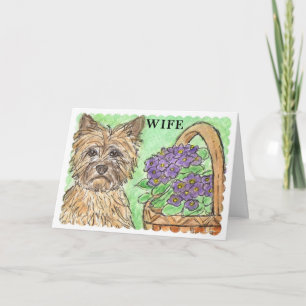 Reizender Vers f Cairnterrier-Geburtstagskarte Karte