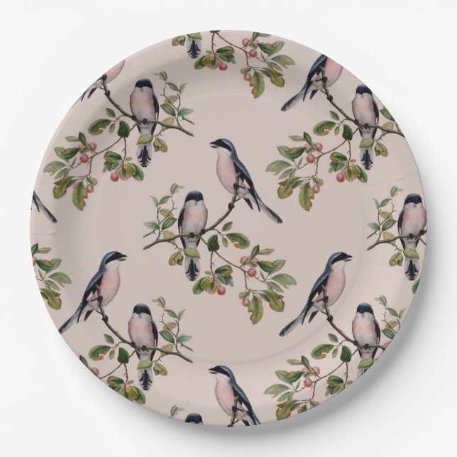 Reizender Vintager Vogel-Druck Pappteller (Vorderseite)
