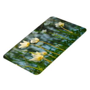 REIZENDES BLUMEN MAGNET