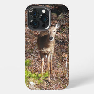 Reizendes Reh im Wald Naturfotografie iPhone 13 Pro Hülle