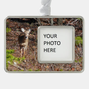 Reizendes Reh im Wald Naturfotografie Rahmen-Ornament Silber