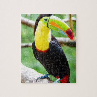 Reizendes Toucan Puzzle