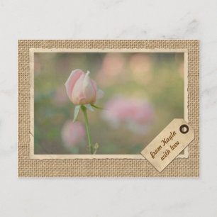 Reizvolle rosa Herbstrosenknospe Vintage-Papierrah Postkarte