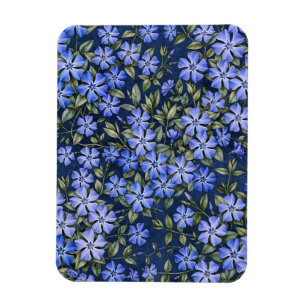 Reizvolle verstreute Immergrün-Blüten in Tiefblau Magnet