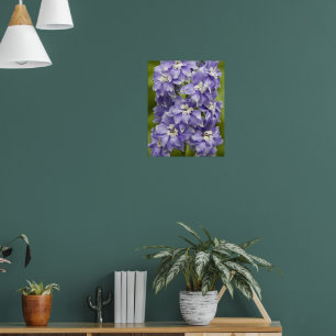 Reizvolles lila Delphinium-Blumen-Foto Poster