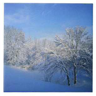 Rekordschnee in Louisville, Kentucky. Fliese