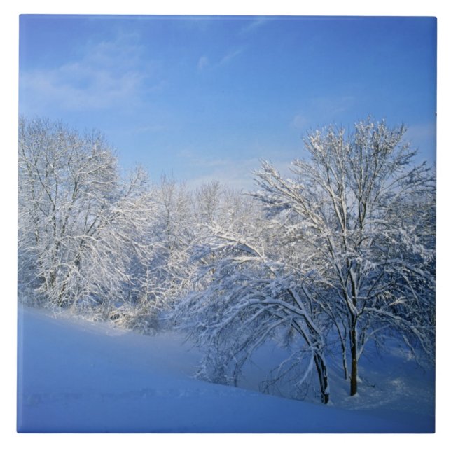 Rekordschnee in Louisville, Kentucky. Fliese (Vorderseite)