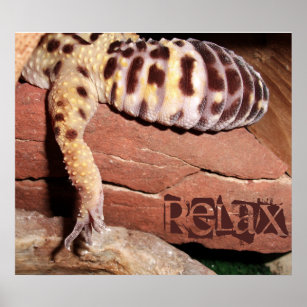 "Relax" Lounging Lizard Leopard Gecko Poster