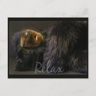 Relax Postkarte mit Schlafbär