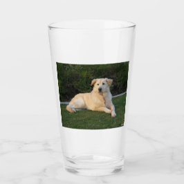Relaxing Dog Glas