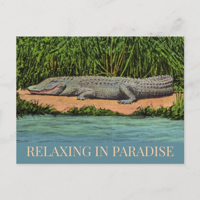 Relaxte Florida Gator Postkarte (Vorderseite)