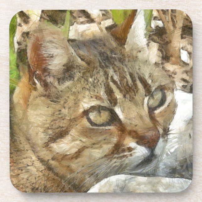 Relaxter Tabby Cat Ruhigen im Garten Stift Getränkeuntersetzer (Vorderseite)